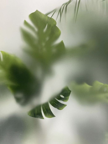 Blurred green leaves