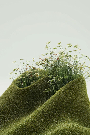 Mossy hill with grass